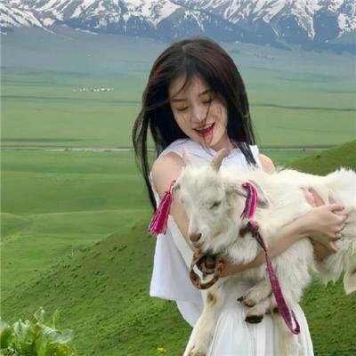 三国志英雄的黎明